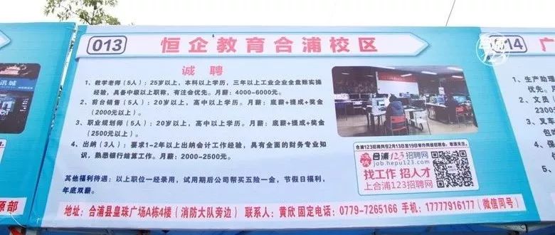 園洲最新招聘信息，時代的脈搏與人才的交匯舞臺