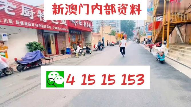 2024年澳門(mén)天天開(kāi)好彩,實(shí)地觀察解釋定義_QOY49.113定制版