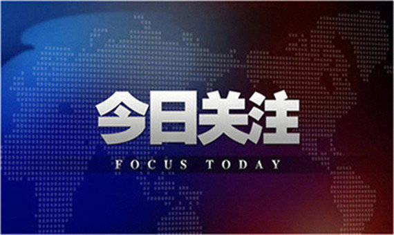 澳門今晚開精準四不像356期,精準解答方案詳解_AZY49.863收藏版