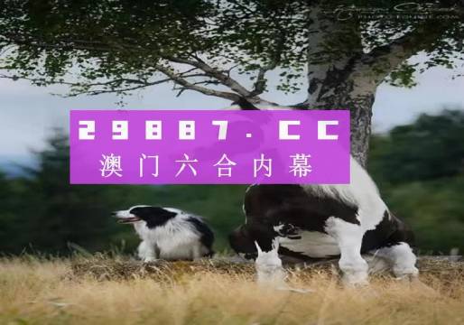 跑狗圖555436www跑狗網,現代化解析定義_XOS49.398硬件版