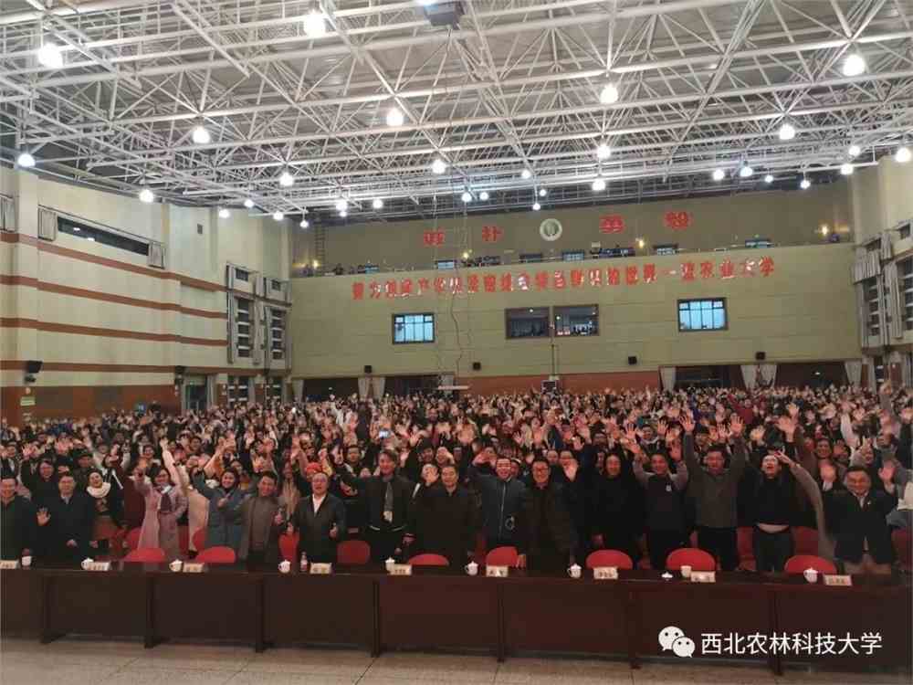 西北農(nóng)大最新動(dòng)態(tài)，小巷深處的獨(dú)特風(fēng)味