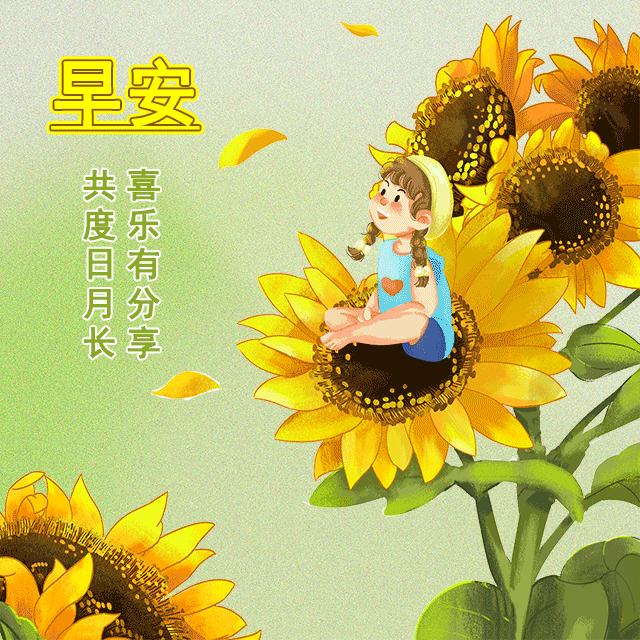 最新動態早上好圖，獨特日常問候方式