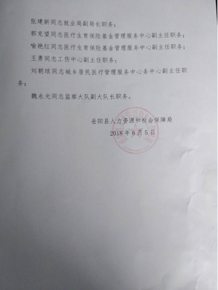 岳陽政府人事大調整，科技引領未來，智能管理新篇章開啟