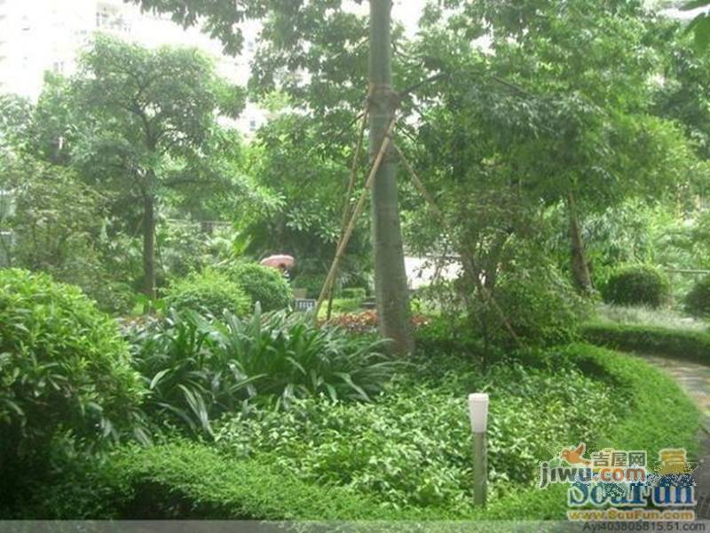 武陟華夏新城崛起與蛻變，最新動態(tài)揭示一座城市的蓬勃發(fā)展