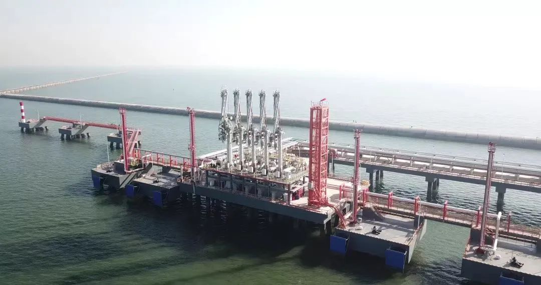 旁海電站最新進展揭秘,陽光下的溫馨日常與深厚友情圖片更新