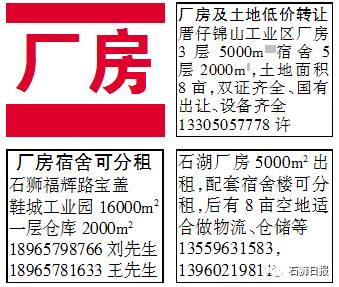 石獅市招聘網最新招聘信息，學習變化，成就自信與夢想之路