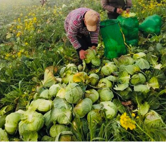 荊州金源世紀(jì)城最新消息,荊州金源世紀(jì)城最新消息,小巷深處的獨(dú)特風(fēng)味