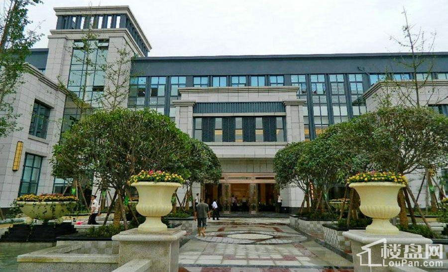 綿陽城南壹號最新動態(tài)更新，最新消息一覽????