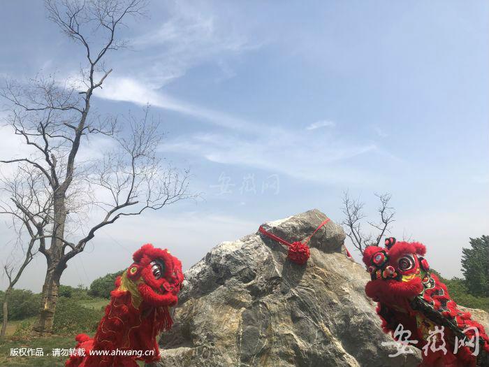 蜀山區(qū)小廟鎮(zhèn)最新動(dòng)態(tài),日常趣事與溫情紐帶