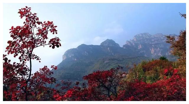 林州程廣用最新消息,林州程廣用最新消息