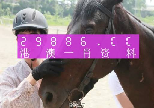 澳門一肖一碼一必中一肖同舟前進,系統評估分析_閃電版84.224