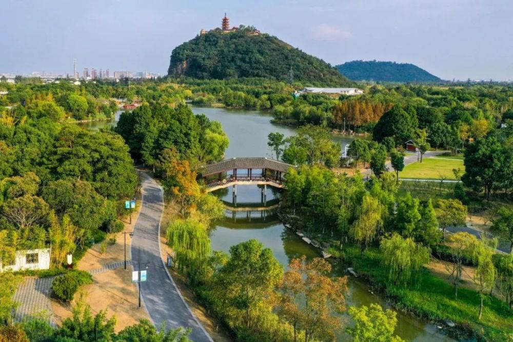 南通森林公園最新動態(tài)，游玩指南與技能學習全攻略
