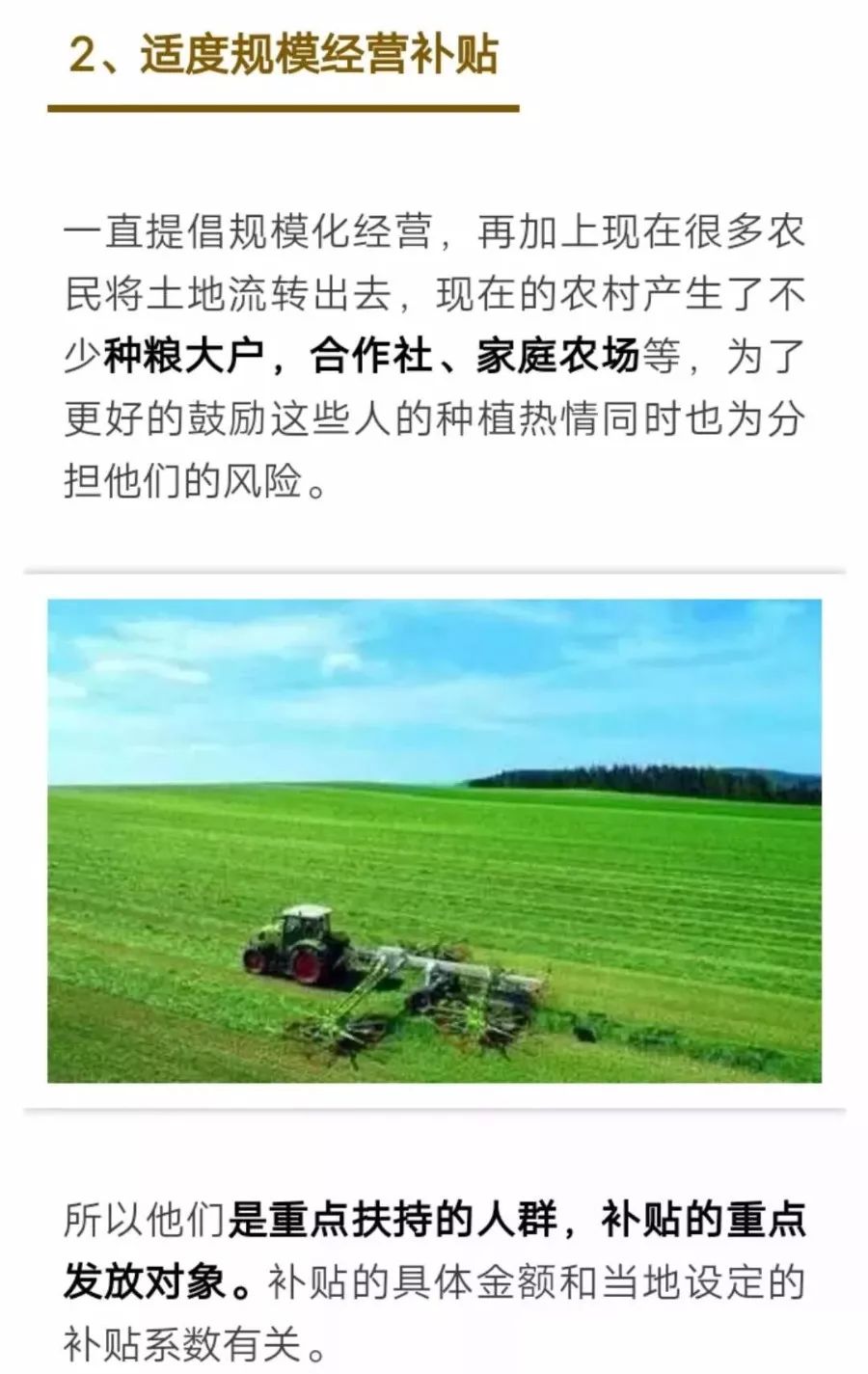 糧食直補(bǔ)最新消息與小巷深處的味覺(jué)驚喜