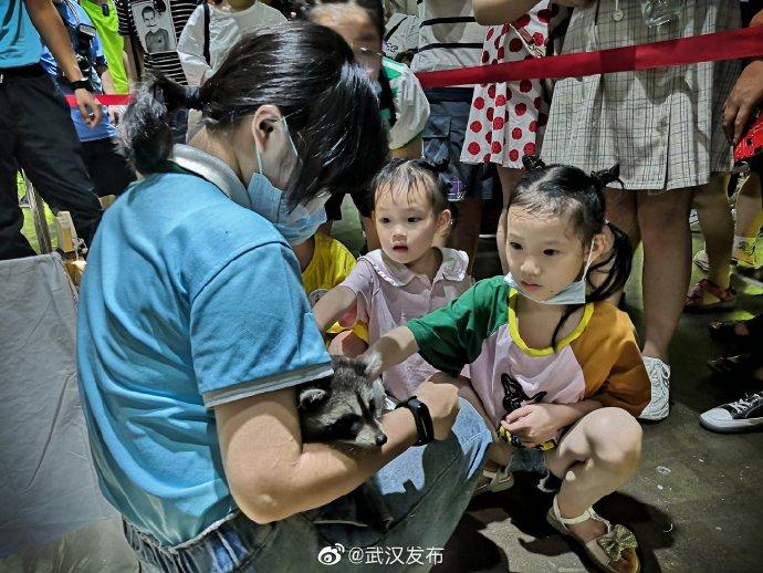 武漢四胞胎萌寶成長足跡最新視頻公開!