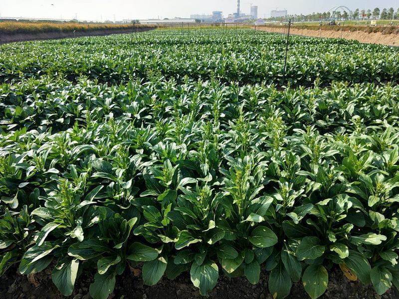 最新消息跨省旅游,開啟全新探索之旅