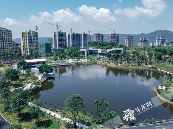 重慶北碚蔡家動態更新，自然美景探索與治愈之旅