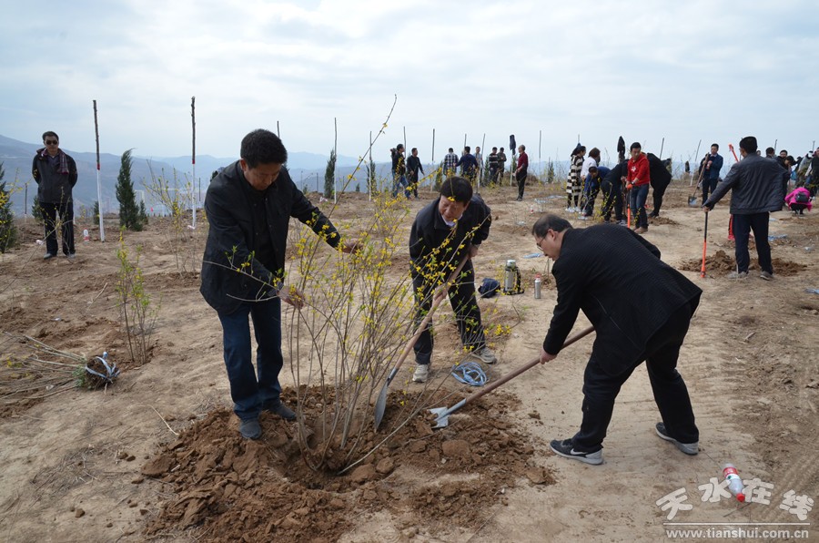 天水植樹指南，任務完成與技能學習攻略