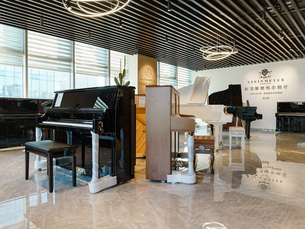 施坦威鋼琴官網價格表,科技與藝術的融合,重塑音樂與生活體驗
