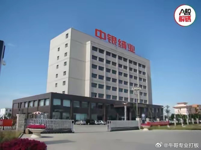 中銀絨業(yè)最新動態(tài)揭秘,小巷里的隱藏寶藏!