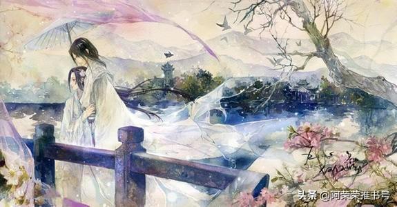 滄月小說最新動態，奇幻世界魅力之旅的探索