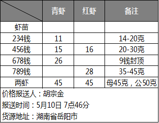 株洲小龍蝦價格行情揭秘，巷弄深處的秘密美食盛宴