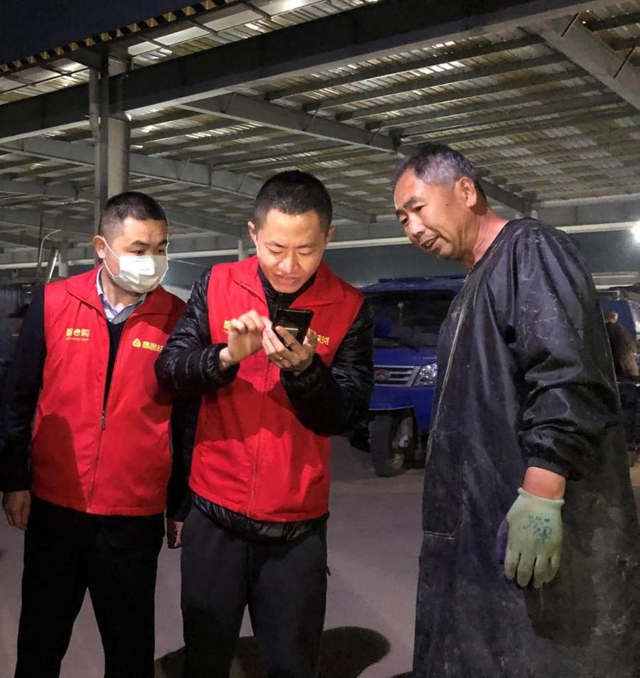 昌邑大姜行情揭秘，故事背后的溫馨與市場動態(tài)