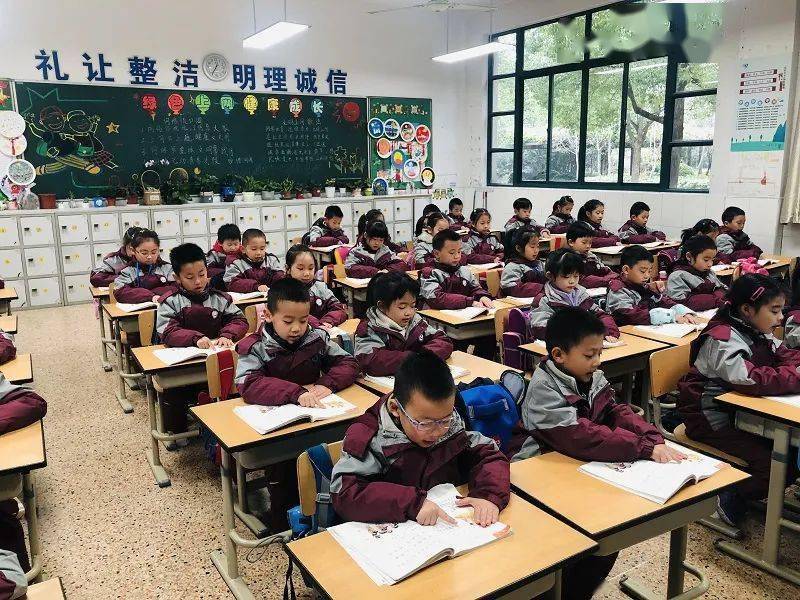 上海小學比賽，全面育人還是競賽選拔的探討？