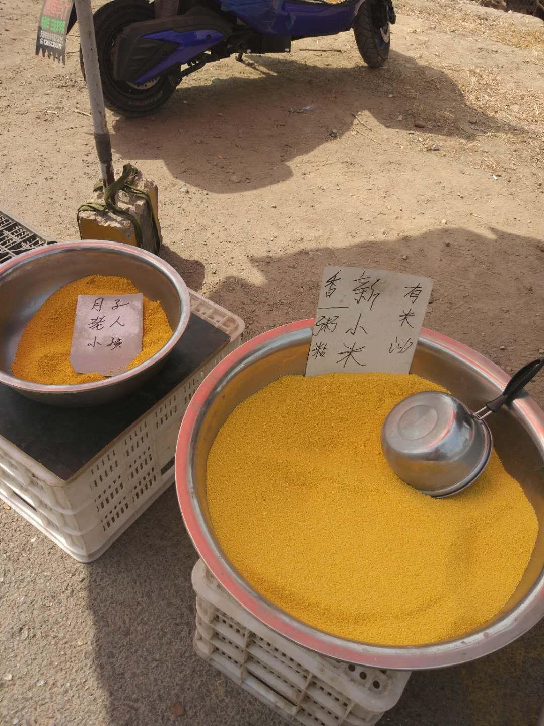 北京芒果行情詳解，選購、鑒別與投資的初學(xué)者與進階用戶指南