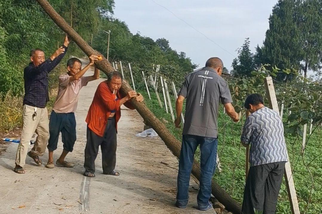 共享經(jīng)濟(jì)上市公司的崛起、挑戰(zhàn)與觀點(diǎn)探析