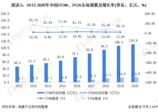 胡蘿卜的未來之路，2025年行情預測與成長展望