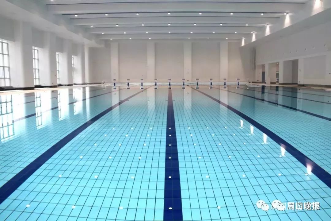 最新泳池消毒技術，保障水質健康與安全