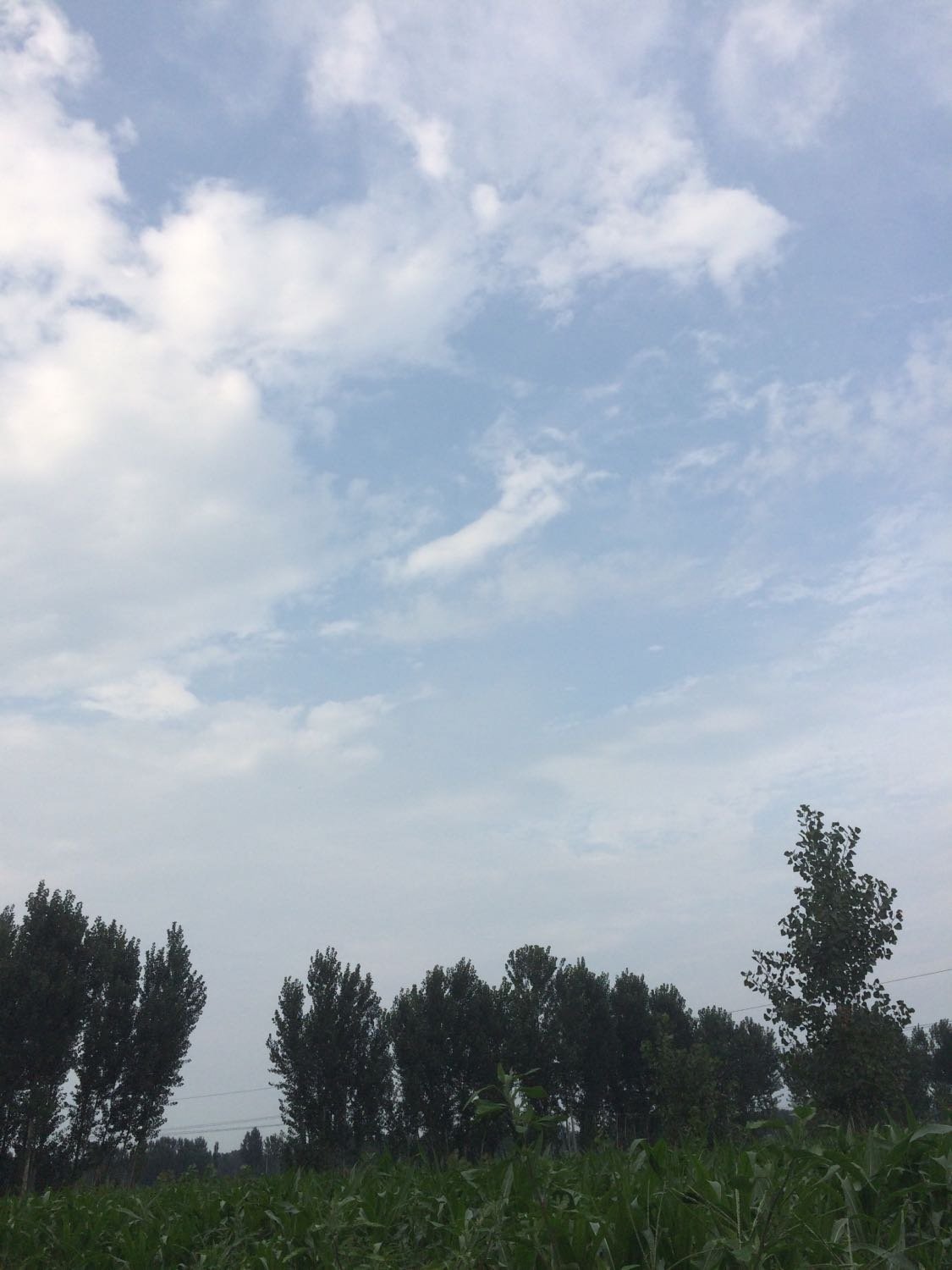 注塑環評 第40頁