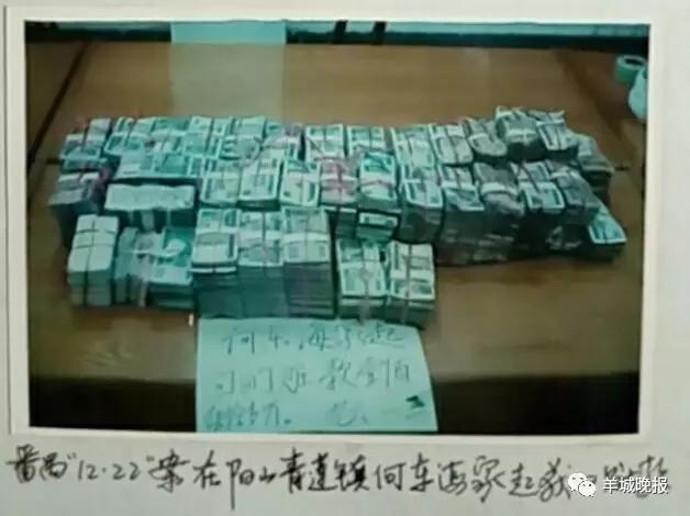 陽山最新資訊,溫馨日常與美好時光的記錄