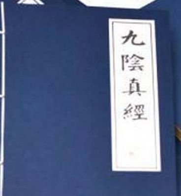 九陽九真最新章節深度探討與解析