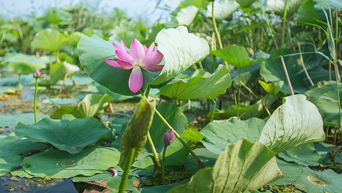 吹膜環(huán)評 第18頁