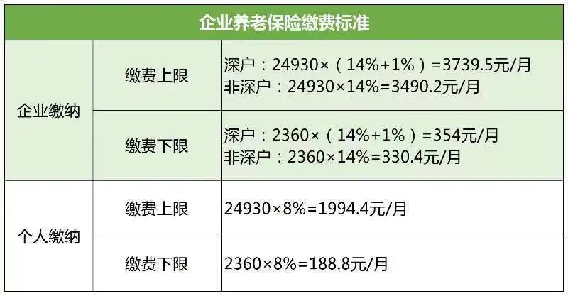 最新繳費(fèi)年月，開啟學(xué)習(xí)之路，培育自信與成就感的源泉