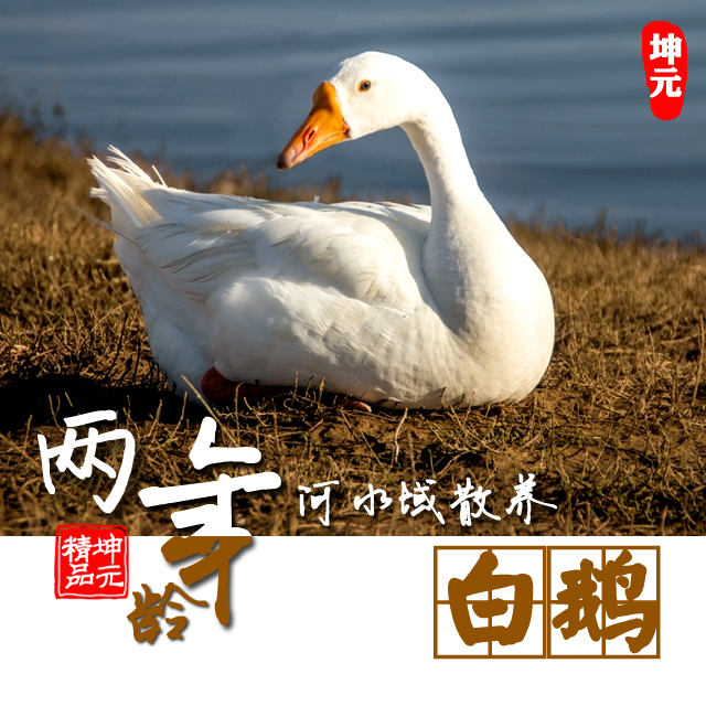 經典美食老鵝的演變與探索之路