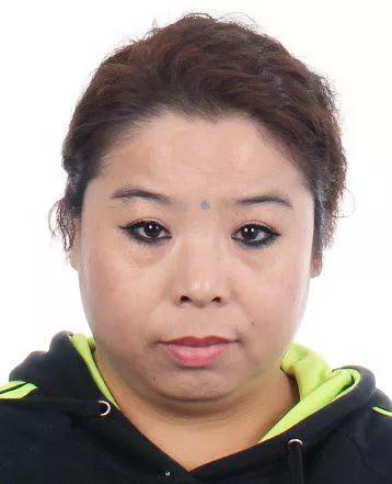 內蒙最新批捕現象深度解析與觀點闡述