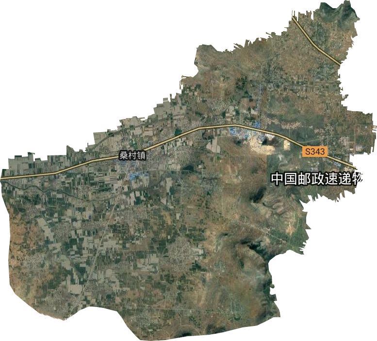 桑村鎮(zhèn)最新動(dòng)態(tài)，友情的溫暖與日常小確幸