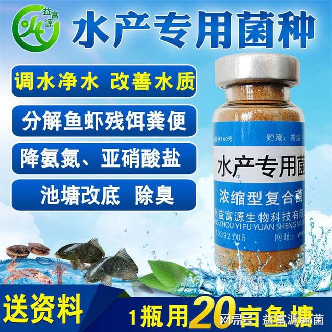 碘制劑最新進展，小巷深處的神秘寶藏探索