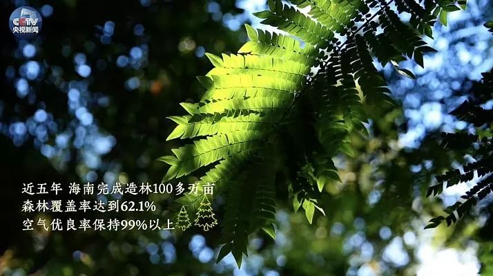最新鮮自然之旅，一場絕美風(fēng)景的沉浸式體驗(yàn)