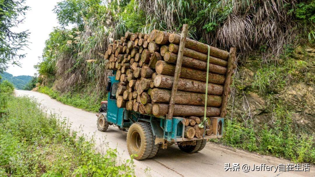 梅子鎮，自然美景的探索之旅，尋找內心的平和與喜悅