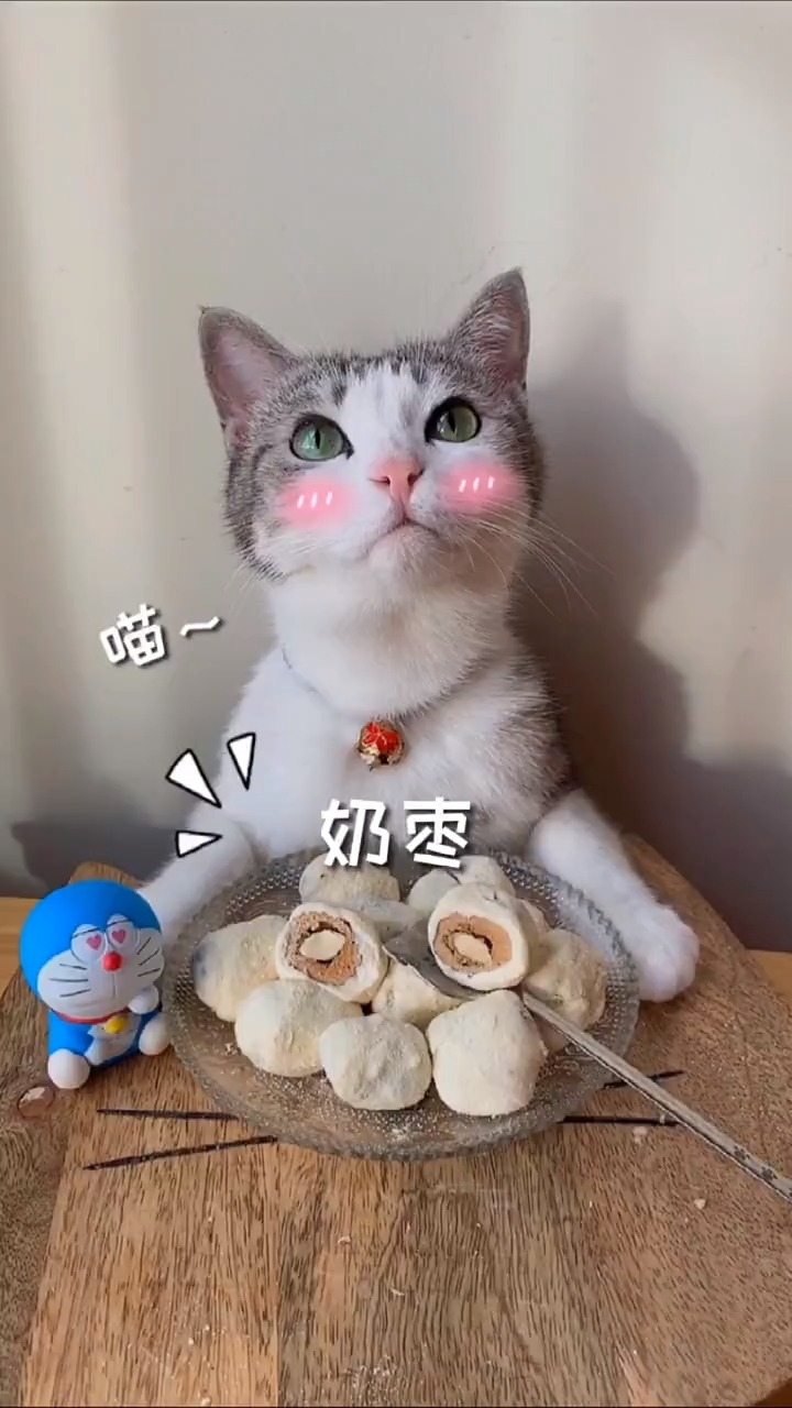 最新聲控喵，自然美景探險之旅，尋找內心的平和與寧靜
