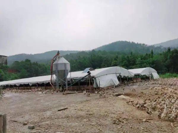 最新違建房,面對變化汲取力量,勵志之光照亮前行之路